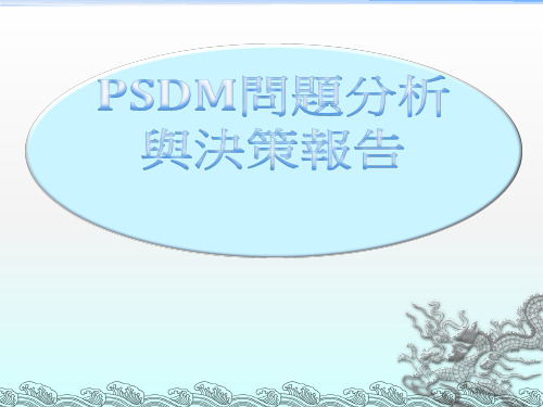 第九组：PSDM问题分析与决策