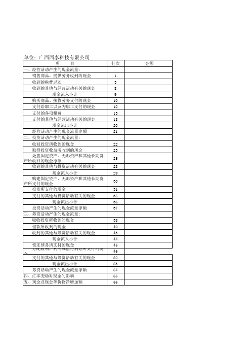 现金流量表空白