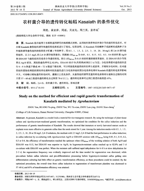 农杆菌介导的遗传转化籼稻Kasalath的条件优化