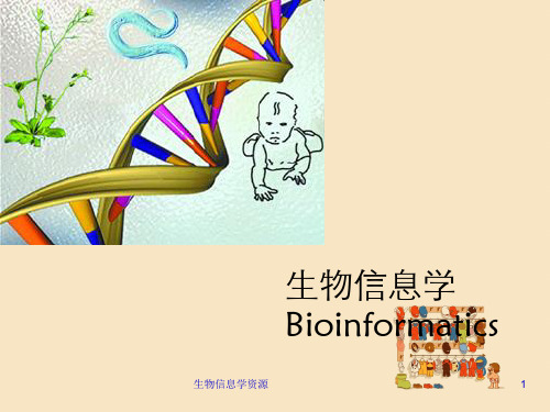 生物信息学资源