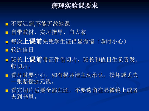 病理实验考：1 组织细胞的损伤与修复及血液循环障碍