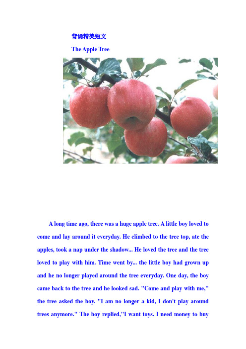 背诵精美英文短文The apple tree