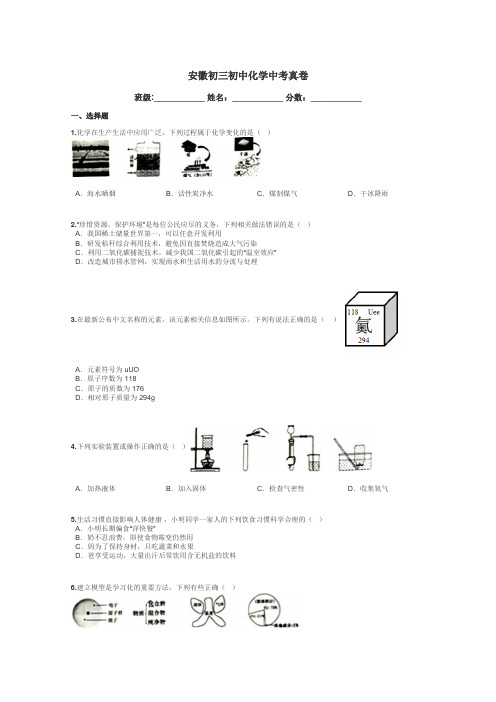 安徽初三初中化学中考真卷带答案解析
