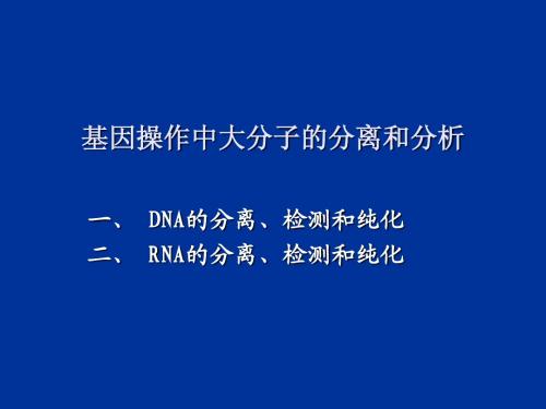 生物大分子的分离纯化