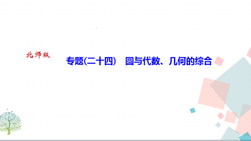 【优质】初三九年数学：《专题二十四)圆与代数、几何的综合》ppt课件