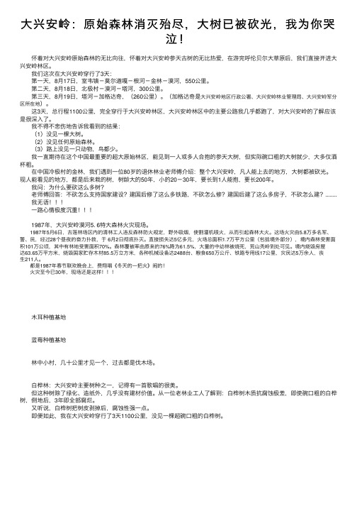 大兴安岭：原始森林消灭殆尽，大树已被砍光，我为你哭泣！