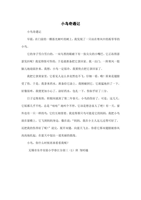小鸟奇遇记_小学三年级作文500字