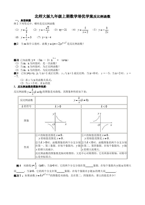 北师大版九年级上期数学培优学案反比例函数