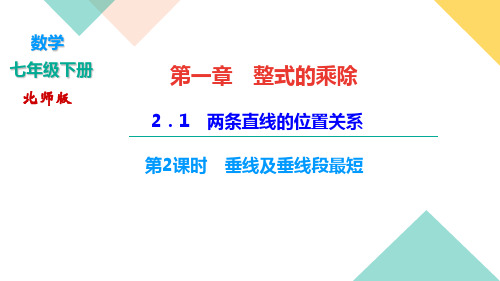 2020-2021学年七年级下册数学北师大版习题课件   2.1 第2课时 垂线及垂线段最短