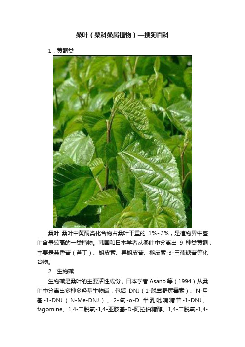 桑叶（桑科桑属植物）—搜狗百科