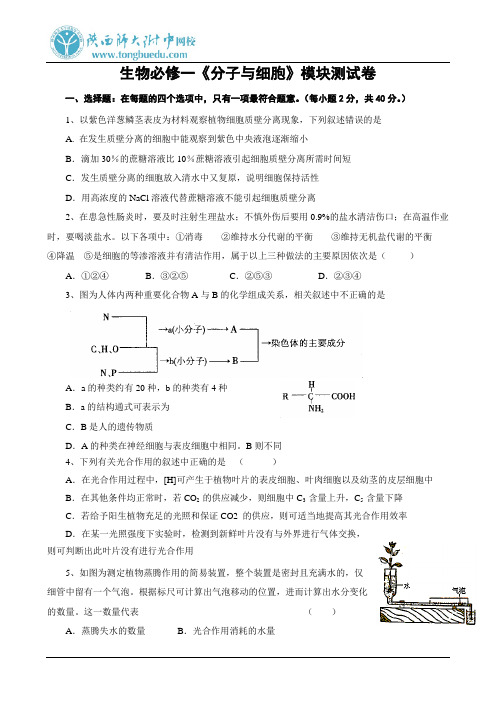 生物必修1《分子与细胞》模块测试卷