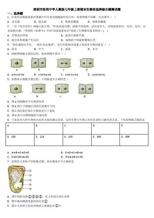 深圳市松岗中学人教版七年级上册期末生物非选择综合题测试题