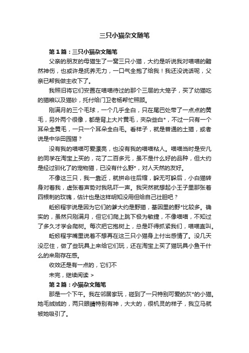 三只小猫杂文随笔