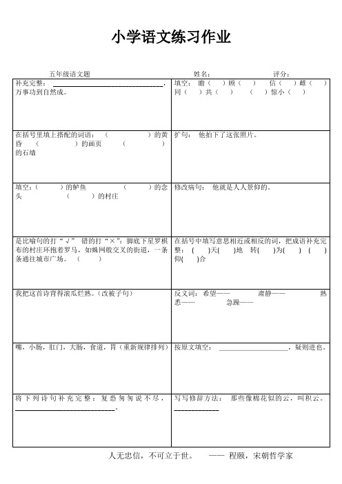 小学五年级语文精题选做IV (2)