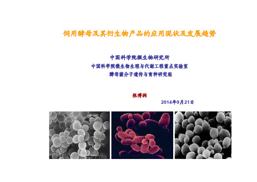 饲用酵母及其衍生物产品的应用现状及发展趋势