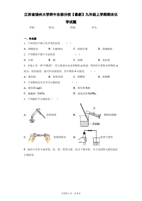 江苏省扬州大学附中东部分校2020-2021学年九年级上学期期末化学试题