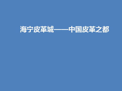 海宁皮革城个案分析