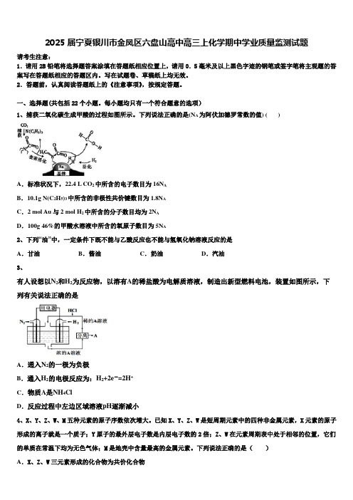 2025届宁夏银川市金凤区六盘山高中高三上化学期中学业质量监测试题含解析