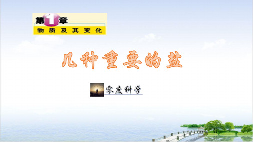 九年级上科学几种重要的盐ppt精美课件浙教版