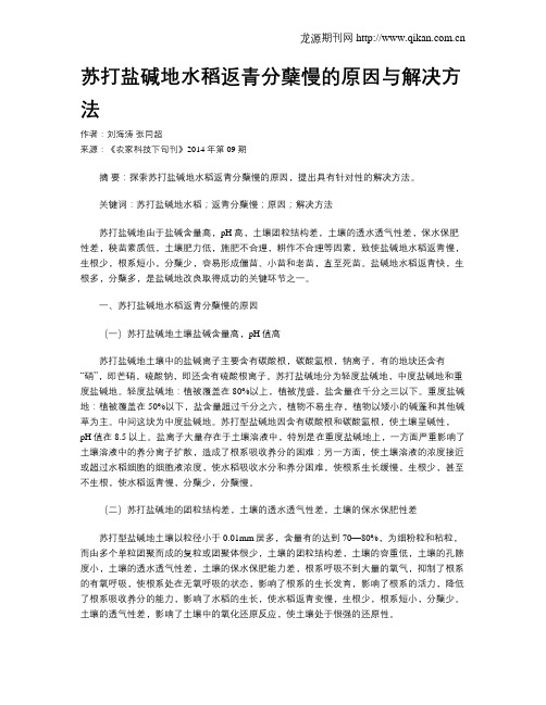 苏打盐碱地水稻返青分蘖慢的原因与解决方法