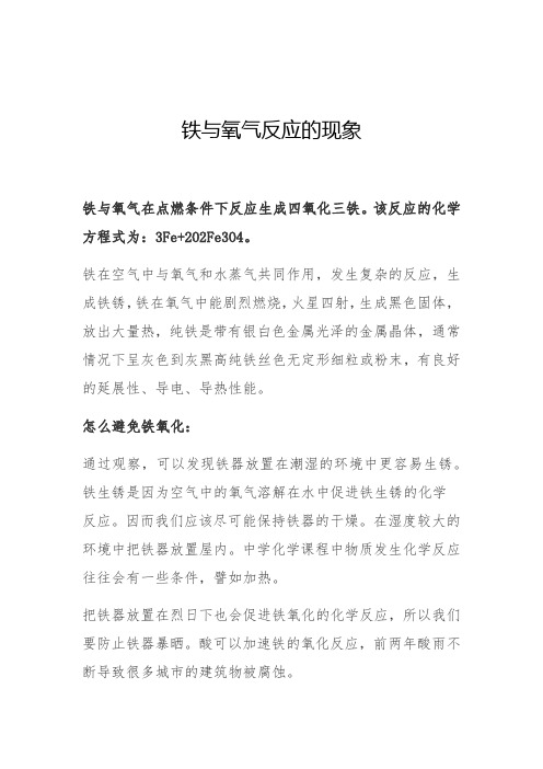 铁与氧气反应的现象