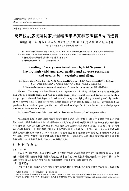 高产优质多抗蔬饲兼用型糯玉米单交种苏玉糯9号的选育