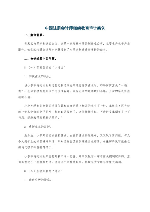 中国注册会计师继续教育审计案例