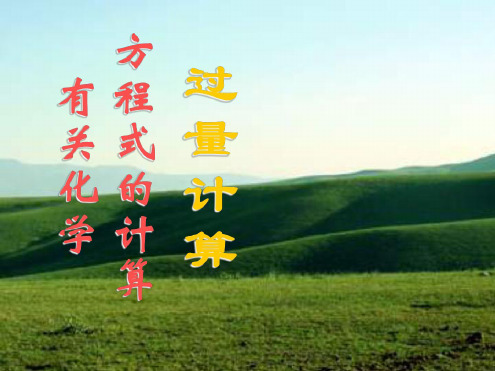 高二化学过量计算