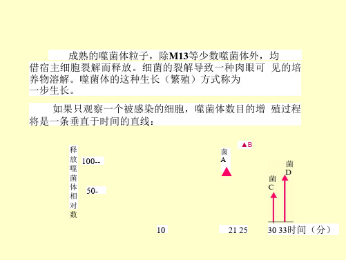 噬菌体的效价测定