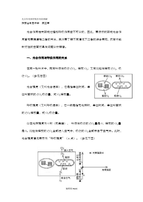 光合作用和呼吸作用的图解最新版本