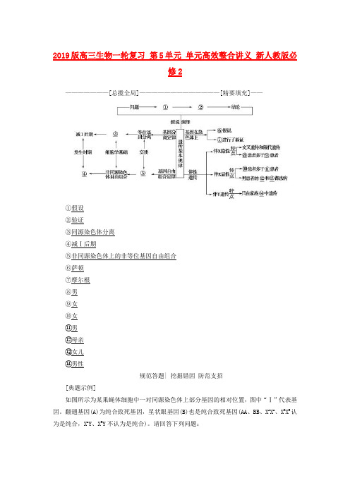 2019版高三生物一轮复习 第5单元 单元高效整合讲义 新人教版必修2