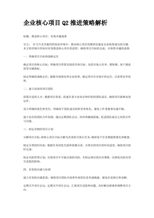 企业核心项目Q2推进策略解析