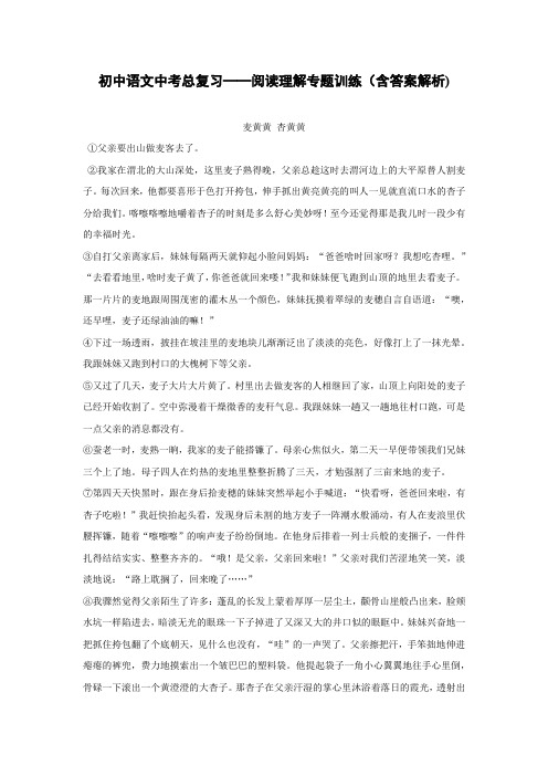 初中语文中考总复习阅读理解专题训练《麦黄黄 杏黄黄》(含答案解析) - 副本 (16)