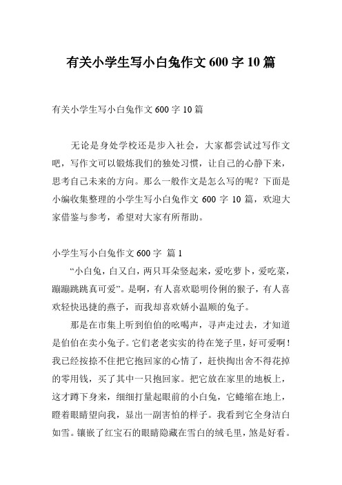 有关小学生写小白兔作文600字10篇