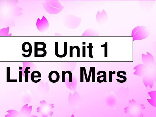 (江苏启东 复习课件)牛津英语9B Revision Unit 1