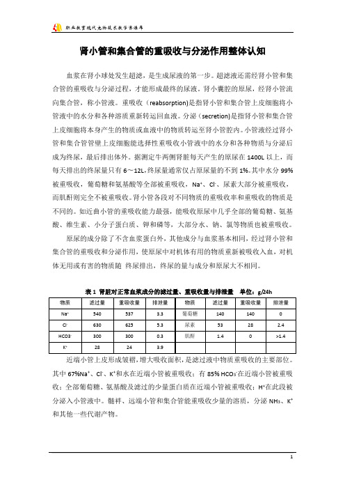 肾小管和集合管的重吸收与分泌作用整体认知.