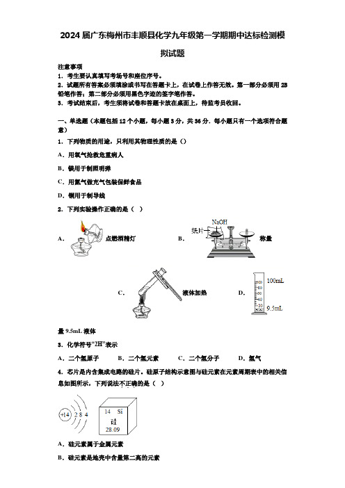 2024届广东梅州市丰顺县化学九年级第一学期期中达标检测模拟试题含答案解析