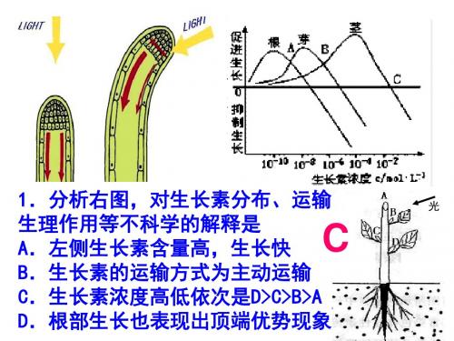 【三、3、3】《其他植物激素》