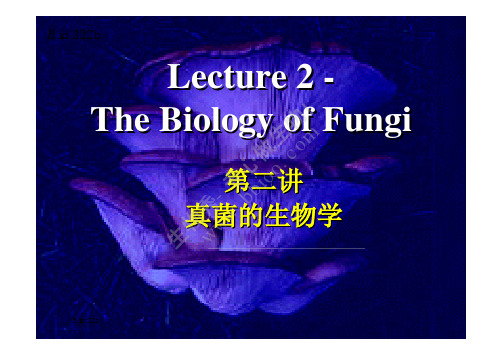 真菌的生物学