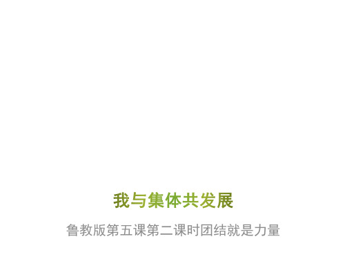 鲁人版八级道德与法治《团结就是力量》共张PPT课件