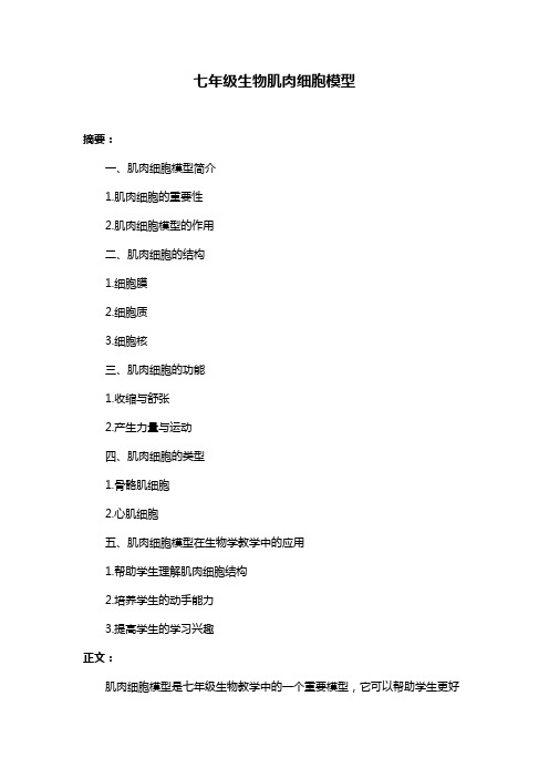 七年级生物肌肉细胞模型