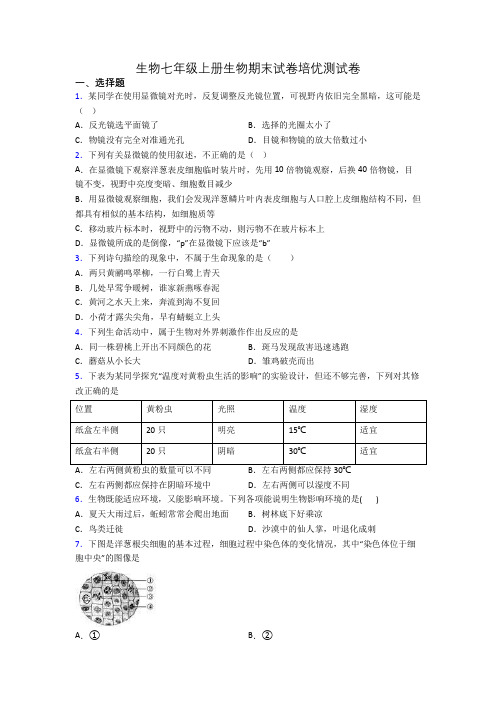 生物七年级上册生物期末试卷培优测试卷[024]