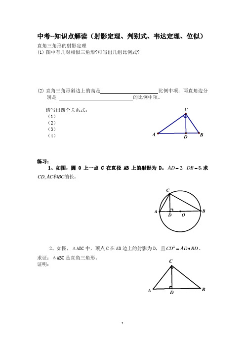 中考--部分知识点解读(射影定理、判别式、韦达定理、位似)