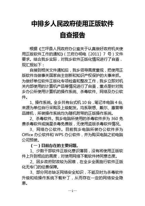 乡镇软件正版化专项检查自查报告