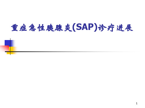 重症急性胰腺炎ppt课件