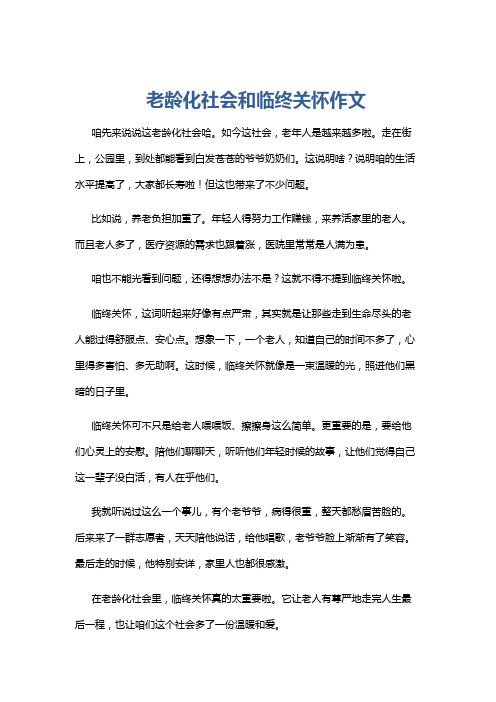 老龄化社会和临终关怀作文