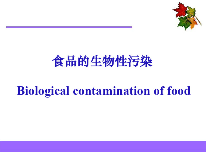 食品卫生学 食品的生物性污染