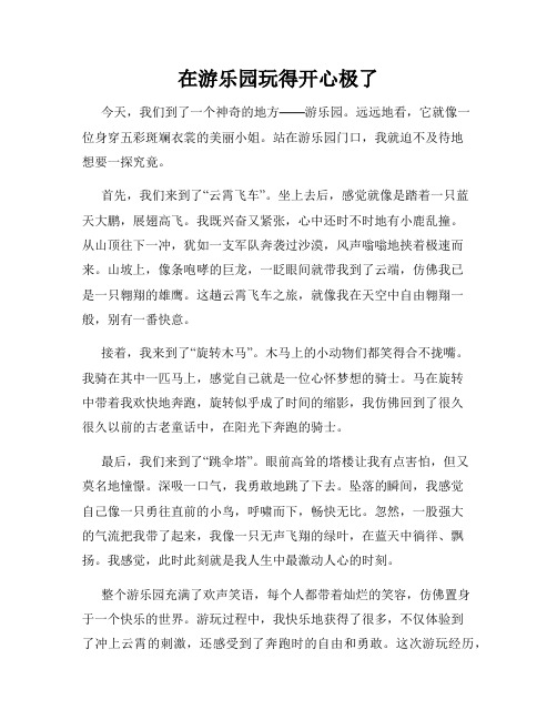 三年级作文那次玩得真高兴之在游乐园玩得开心极了