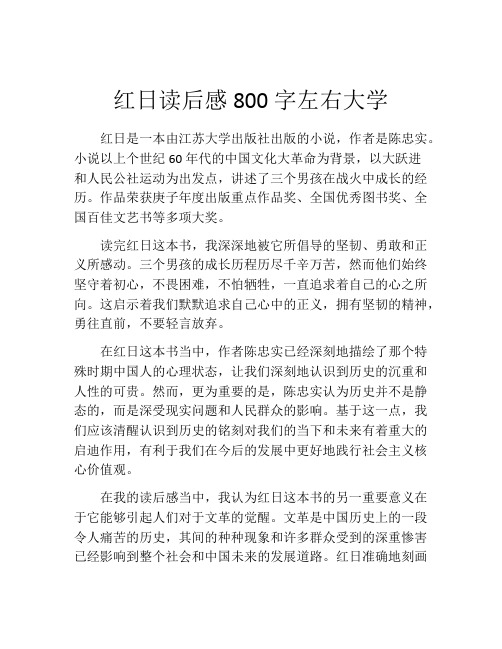 红日读后感800字左右大学