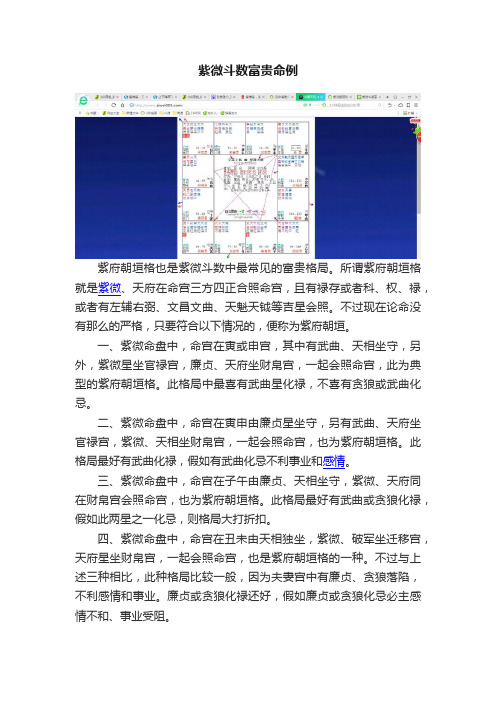 紫微斗数富贵命例